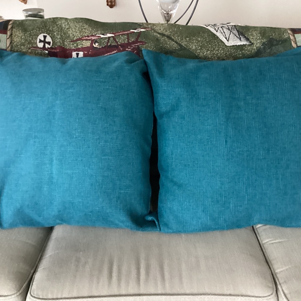 2 Euro Pillow Covers